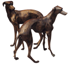 Bronze Windhunde in Naturgröße